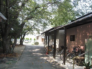 IMG_2499.jpg