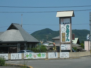 IMG_2523.jpg