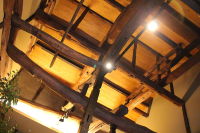 IMG_2562.jpg