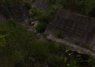 IMG_2583E381AEE382B3E38394E383BC-7aaf1-thumbnail2-thumbnail2-thumbnail2.jpg