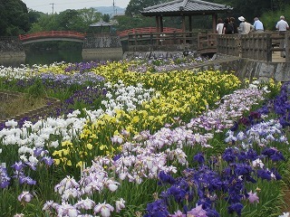 IMG_2615.jpg