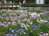 IMG_2618.jpg