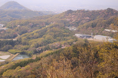 IMG_2634.JPG