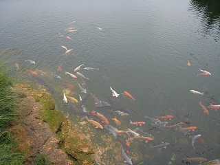 IMG_2718.jpg