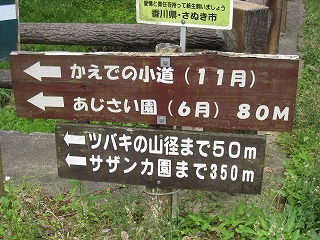 IMG_2727.jpg