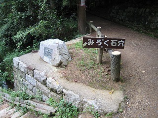 IMG_2728.jpg