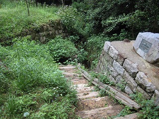 IMG_2729.jpg