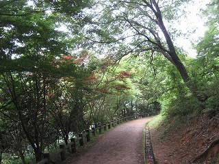IMG_2730.jpg