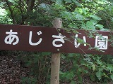 IMG_2732.jpg