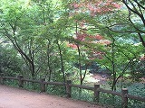 IMG_2739.jpg