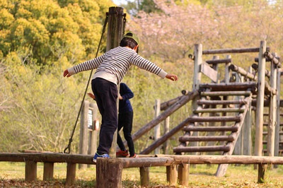 IMG_2826-a2d4e-thumbnail2.jpg