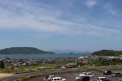 IMG_2996.jpg