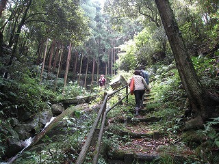 IMG_3045.jpg