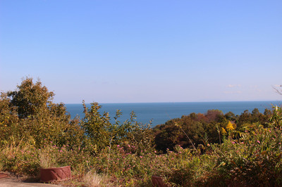 IMG_3382.jpg