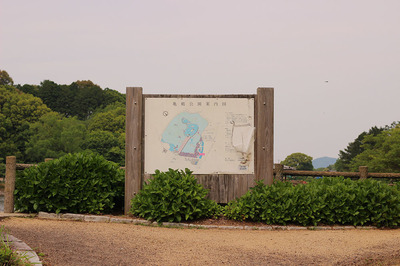 IMG_4071.jpg
