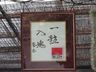 IMG_4227.jpg