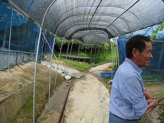 IMG_4249.jpg