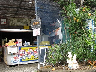 IMG_4273.jpg
