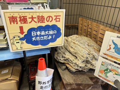 IMG_4430.jpeg