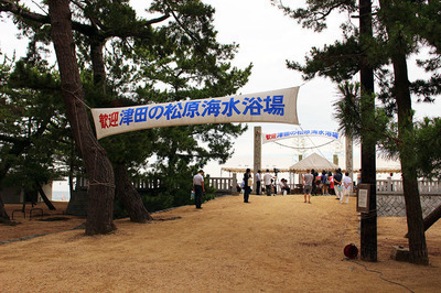 IMG_4756-afe3c-thumbnail2-2.jpg