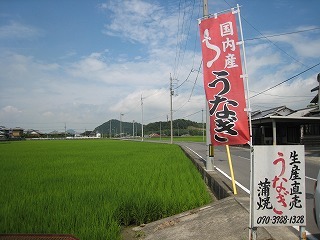 IMG_4891.jpg