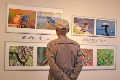 IMG_5158.jpg