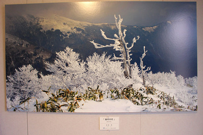 IMG_5623.jpg