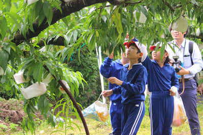 IMG_6275.jpg