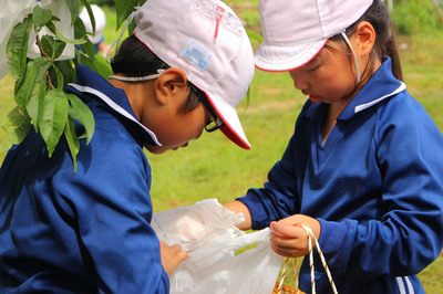 IMG_6287.jpg