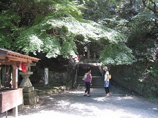 IMG_6340.jpg