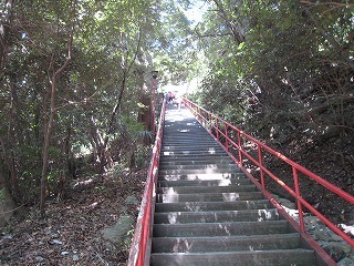 IMG_6342.jpg