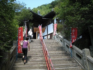 IMG_6347.jpg