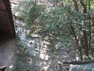 IMG_6363.jpg