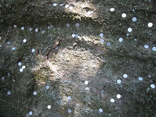 IMG_6365.jpg