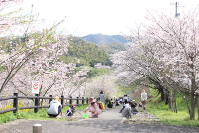 IMG_6377-24939-thumbnail2-3.jpg