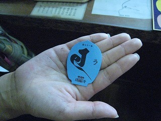 IMG_6377.jpg