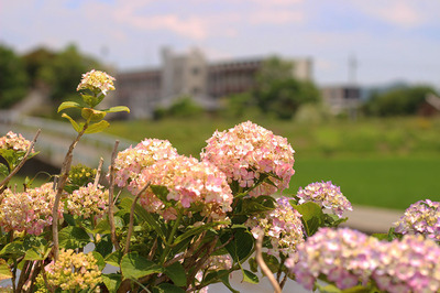 IMG_6863.jpg