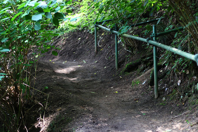 IMG_6899.jpg