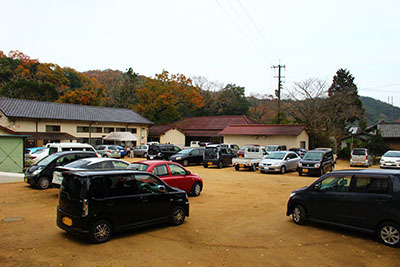 IMG_7736.jpg