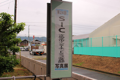 IMG_8426.jpg