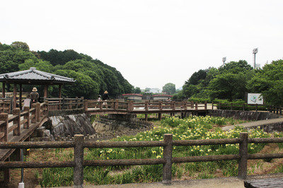 IMG_8452.jpg
