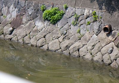 IMG_8694_R.jpg