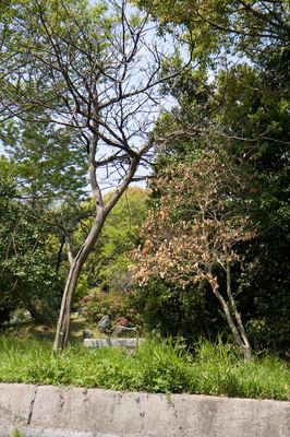 IMG_8704_R.jpg