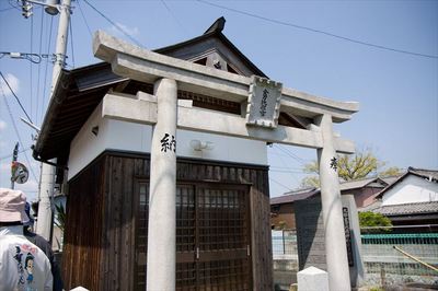IMG_8713_R.jpg