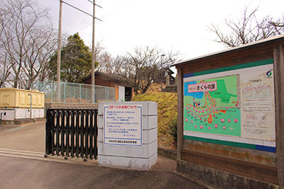 IMG_8956.jpg