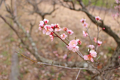 IMG_8977.jpg