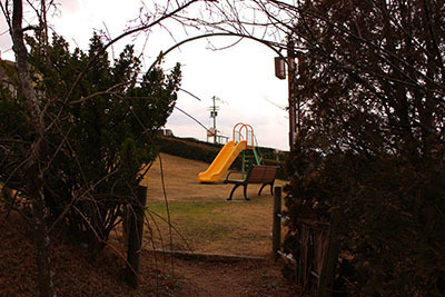 IMG_8990.jpg
