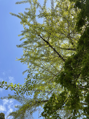 IMG_9988.jpg