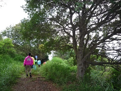 P1020855.JPG