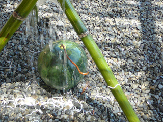 P1150753 のコピー.jpg